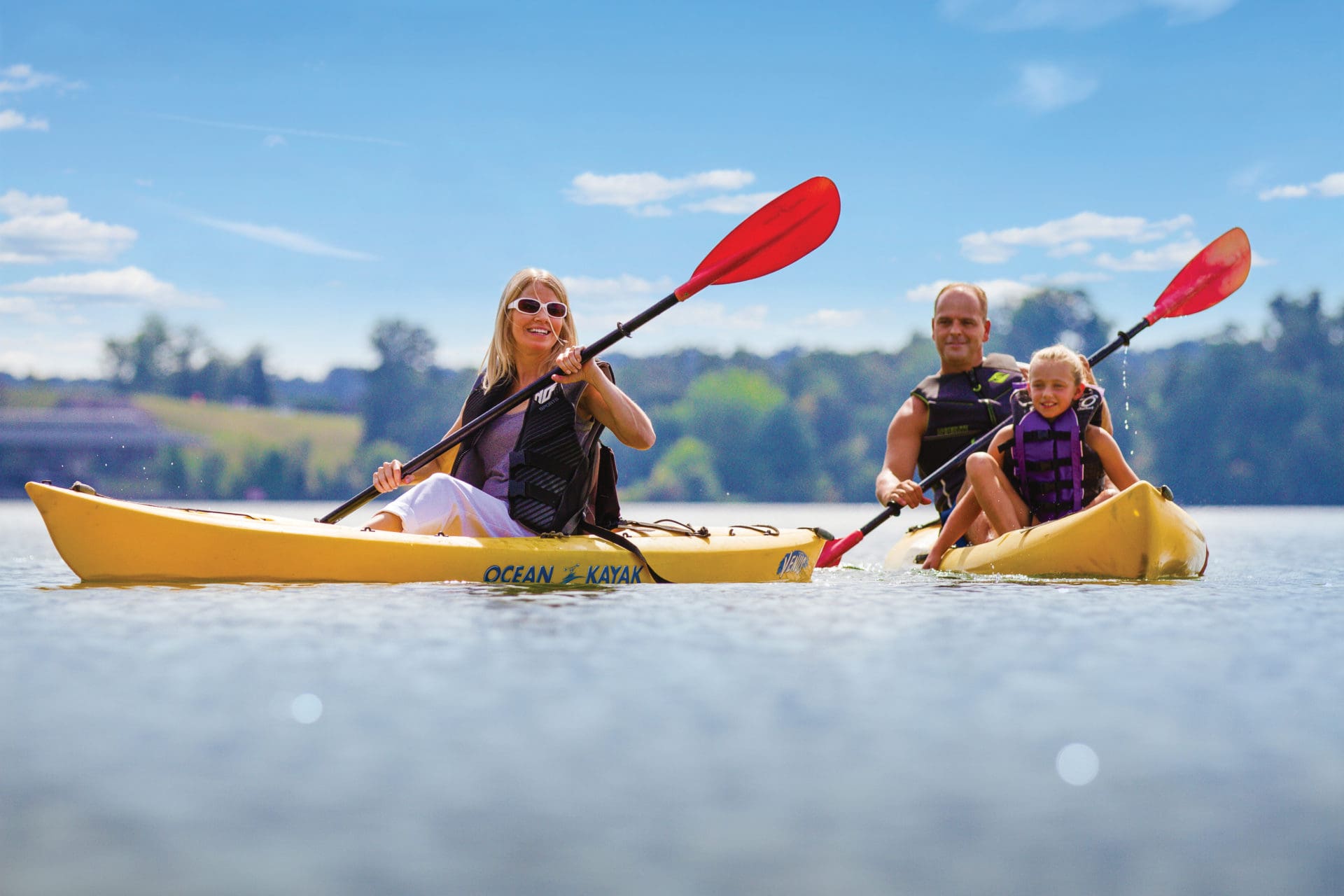 Boating and Water Activities on Tellico Lake